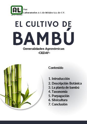 El Cultivo de BAMBÚ