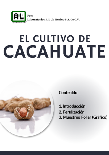 El Cultivo de CACAHUATE