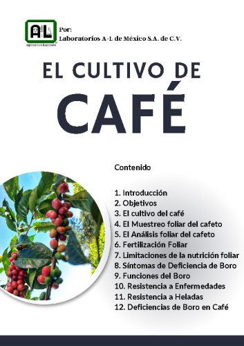 El Cultivo de CAFÉ