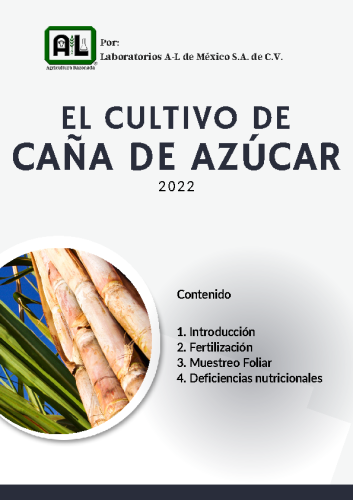 El Cultivo de CAÑA DE AZÚCAR 2022