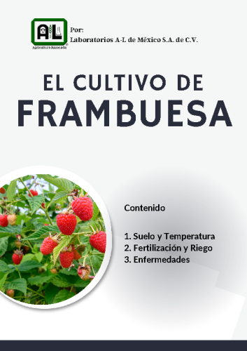 El Cultivo de FRAMBUESA