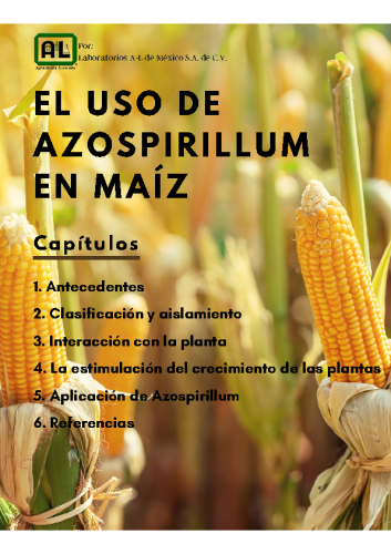 El uso de AZOSPIRILLUM en Maíz