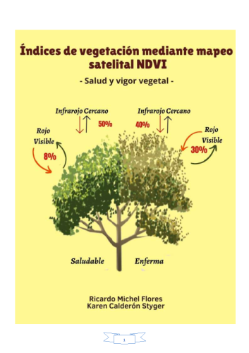 Índices-de-vegetación-mediante-mapeo-satelital-NDVI