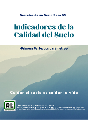 39.INDICADORES. LOS PARAMETROS