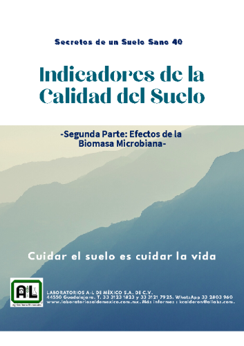 40.INDICADORES. EFECTOS DE LA BIOMASA